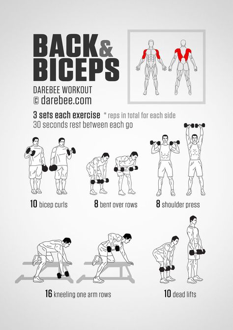 Back and Biceps Workout Back And Biceps Workout, Darebee Workout, Back And Bicep Workout, Dumbell Workout, Trening Abs, Workout Chart, Biceps Workout, Back And Biceps, Body Fitness