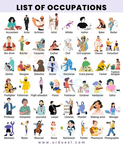 An image showing various jobs and occupations with their photos All Jobs List, List Of Professions, List Of Occupations, List Of Professions Career, Occupation Day At School, Jobs List Career, Jobs Ideas Career List, Career Paths Ideas, Career Day Poster Ideas