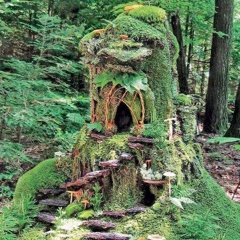 Fairy Tree Houses, Fairy Village, Fairy House Diy, Fairy Garden Designs, Fairy Garden Crafts, Faeries Gardens, Fairy Tree, Fairy Garden Houses, Fairy Doors