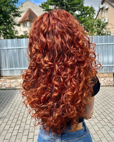 Auburn Ombre Curly Hair, Big Red Curly Hair, Dark Orange Curly Hair, Curly Red Hair Aesthetic, Long Curly Ginger Hair, Copper Hair Curly, Ginger Hair Curly, Strawberry Blonde Curls, Redhead Curly Hair