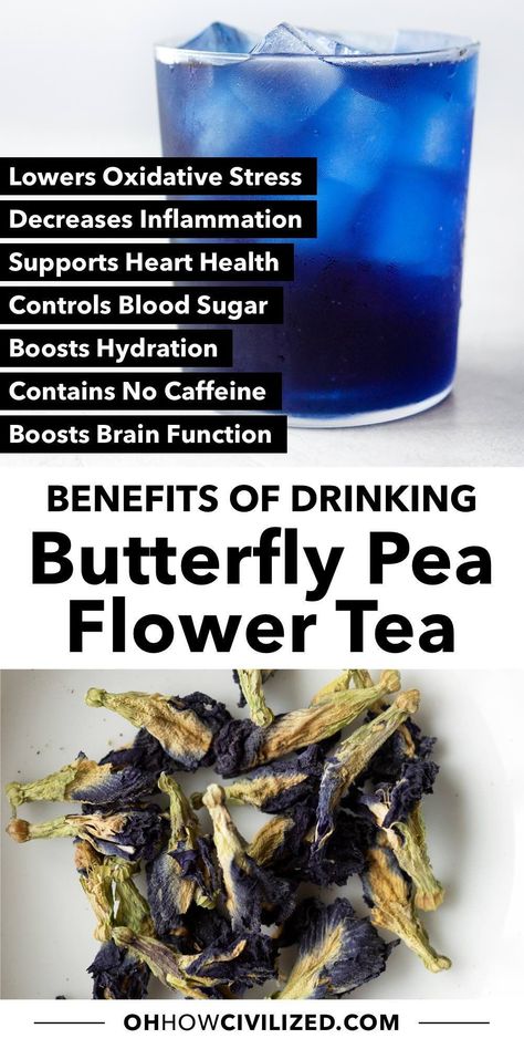 Known for its pretty blue color, butterfly pea flower tea is packed with health benefits. It’s full of antioxidants and beneficial compounds that are so good for the body. #butterflypeaflower #herbaltea #antioxidants #icedtea Butterfly Sweet Pea Tea Benefits, Blue Butterfly Pea Flower Benefits, Butterfly Pea Flower Tea Benefits, Blue Pea Tea, Tea Healing, Flavored Iced Tea Recipes, Healthy Teas Recipes, Pea Flower Tea, Iced Tea Recipes Homemade