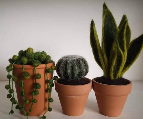 Felted Cactus, Needle Felted Cactus, Felted Plants, Felt House Plants, Felted Succulents, Needle Felted Succulents, Felted Terrarium, Needle Felt Plants, Needle Felting Plants