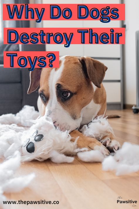 Dog Chew Toys Homemade, Diy Dog Chew Toys, Diy Dog Toys For Heavy Chewers, Dog Toys Diy Homemade, Strong Dog Toys, Chew Toys For Dogs, Indestructible Dog Toys, Dog Toys For Aggressive Chewers, Homemade Dog Toys