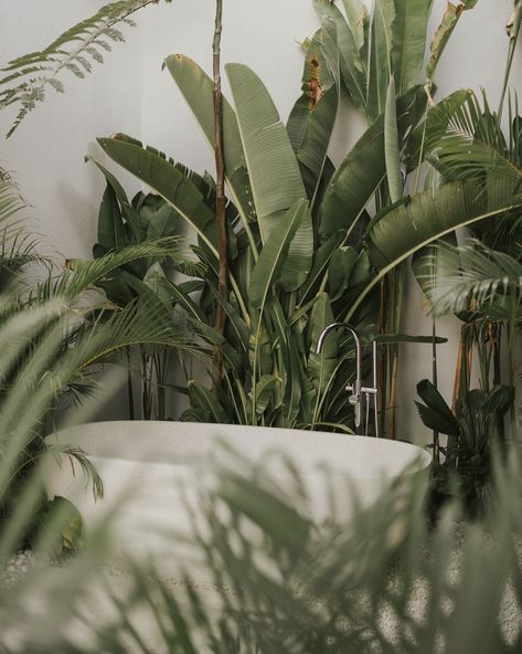 ~ lush & tropical 🌴 | outdoor bathtub • • • 📷 @ivanavaresko #casanuah #baliholidayhome #bali #travel #slowliving #balivilla #balistay… | Instagram Tropic Aesthetic, Luxury Wellness Aesthetic, Luxury Resort Aesthetic, Bali Interiors, Bali Aestethic, Tropical Boho, Bali Plants, Bali Beach Aesthetic, Tropical Summer