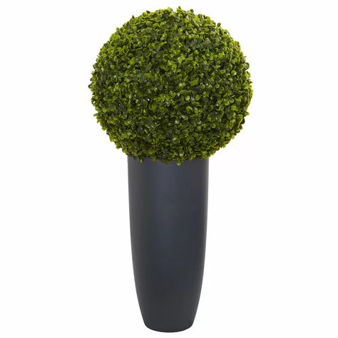 Greyleigh™ 12.25" Artificial Boxwood Topiary in Planter & Reviews | Wayfair Boxwood Plant, Boxwood Balls, Gray Planter, Topiary Plants, Artificial Topiary, Artificial Plants And Trees, Planter Indoor, Boxwood Topiary, Artificial Boxwood