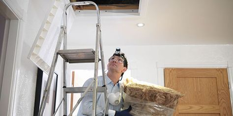 Loft Insulation Costs And Savings - Which? Loft Hatch Door, Loft Hatch, Diy Insulation, Rigid Insulation, Spray Insulation, Loft Insulation, Style Me Pretty Living, Attic Insulation, Roof Insulation