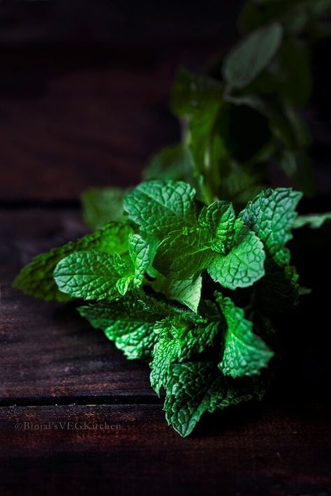 Winter Detox, Salade Healthy, Lassi Recipes, Vegetables Photography, Magia Das Ervas, Fresh Mint Leaves, Spices And Herbs, Fruit And Veg, Mint Leaves