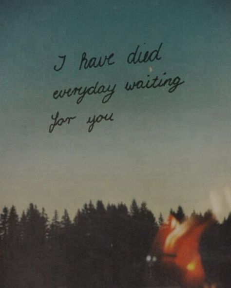 Darling don't be afraid I have loved you for a thousand years, I've loved you for a thousand years. I Have Loved You For A Thousand Years, A Thousand Years Lyrics, Thousand Years Lyrics, Lovely Thoughts, A Thousand Years, Don't Be Afraid, When You Know, Song Quotes, Pretty Lyrics