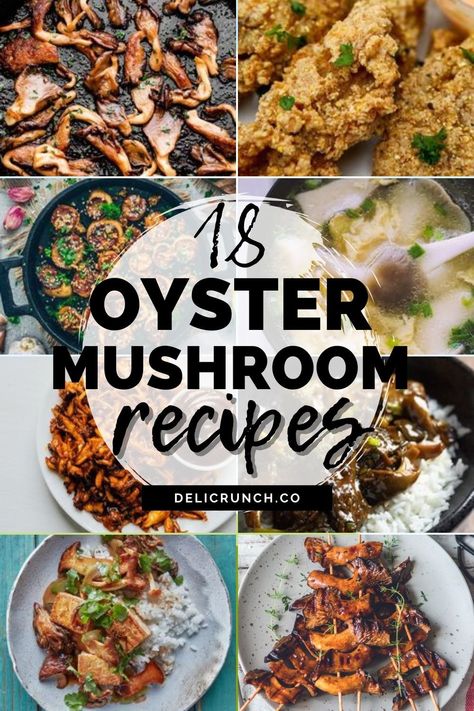 How To Cook With Mushrooms, Recipes Oyster Mushrooms, Clamshell Mushroom Recipe, Gold Oyster Mushroom Recipe, Oyster Mushroom Burger Recipe, Healthy Oyster Mushroom Recipes, How To Prepare Oyster Mushrooms, How To Cook Pink Oyster Mushrooms, Dehydrated Oyster Mushrooms