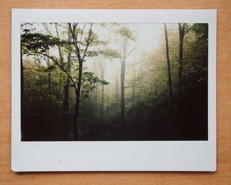 Film Photography Ideas Inspiration, Instant Film Photography, Original Aesthetic, Film Ideas, Analogue Photography, Instax Wide, Photography 35mm, Photography Journal, Polaroid Photography