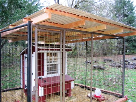 Dog Kennel Roof, Corrugated Roof, Brahma Chicken, Dog Kennel Cover, Backyard Chicken Coop Plans, Dog Run, Roof Ideas, Chicken Coop Run, Backyard Chicken Farming