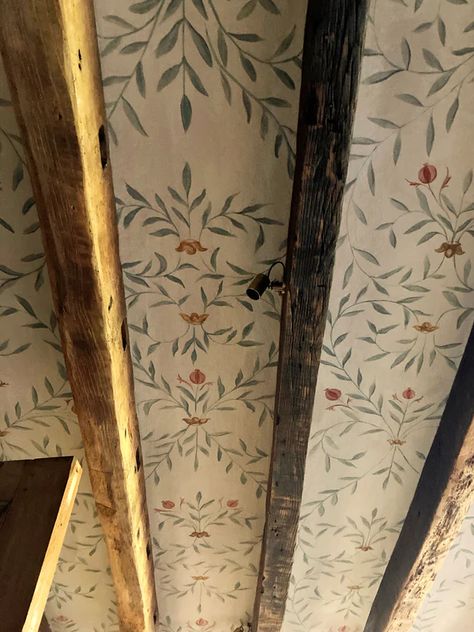 Medieval Ceiling, Tess Newall, Tent Room, Ceiling Painting, Ceiling Murals, Hand Painted Wallpaper, Painted Chest, Home Garden Design, Mirror Painting