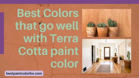 65 colors to pair with terra cotta (Best Collection!) Colors That Compliment Terra Cotta, What Colors Go With Terra Cotta, Terra Cotta Decor, Terra Cotta Kitchen, Terra Cotta Color Palette, Terra Cotta Paint Color, Paint Color Guide, Best Paint, Best Paint Colors