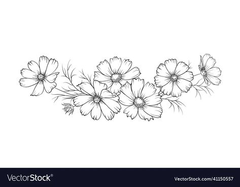 Black silhouette of a garland of cosmos flowers vector image Cosmos Flower Vine Tattoo, Cosmo Flower Line Art, Cosmos Flower Sketch, Cosmos Line Drawing, Lily And Cosmos Tattoo, Cosmos Drawing Flower, Cosmos Flower Illustration, Black Line Flower Tattoo, Cosmos Tattoo Design