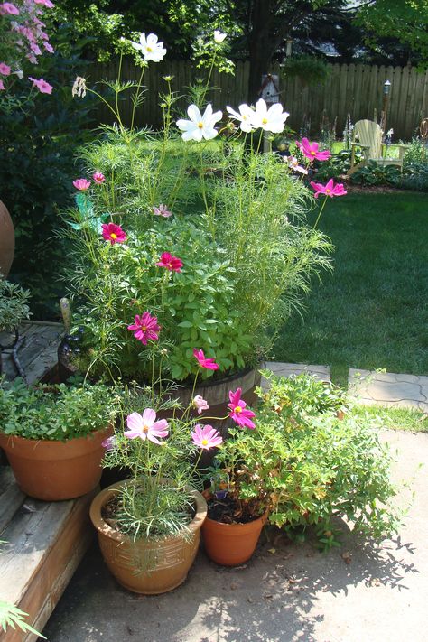 Beautiful Flower Gardens, Vintage Decorating Ideas, Front Yard Flowers, Yard Flowers, Rustic Garden Ideas, Concrete Patios, Vintage Decorating, Container Garden Design, Garden Containers