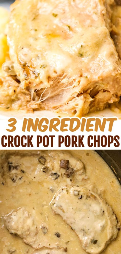 Porkchops Crockpot Easy, Crockpot Recipes Porkchops, Crockpot Smothered Pork Chops Easy, Smothered Pork Chops Crock Pot Easy, Boneless Pork Chop Slow Cooker Recipes, Slow Cooker Alpine Pork Chops, Mushroom Soup Pork Chops Crock Pot, Crockpot Boneless Pork Chop Recipes, Crockpot Porkchops Dinner Ideas