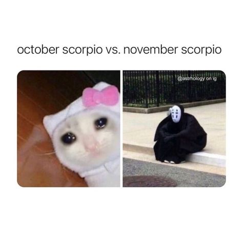 October Scorpio, November Scorpio, Scorpio Funny, Isfj Personality, Scorpio Art, Relationship Astrology, Scorpio Zodiac Facts, Zodiac Signs Scorpio, Scorpio Horoscope