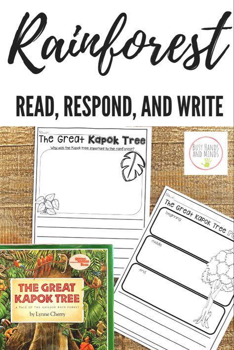 Great Kapok Tree Activities, The Great Kapok Tree Activities, Rainforest Activities 2nd Grade, Rainforest Unit Study, Rainforest Kindergarten, Kapok Tree Activities, Jungle Theme Activities, The Great Kapok Tree, Play Based Preschool