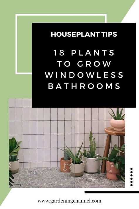 shower with houseplants with text overlay houseplant tips eighteen plants to grow in windowless bathrooms Plant For Bathroom With No Windows, Plant For Bathroom, Plants For Bathroom, Bathroom With No Windows, Windowless Bathroom, Plants To Grow, Growing Plants Indoors, Bathroom Plants, Indoor Gardening