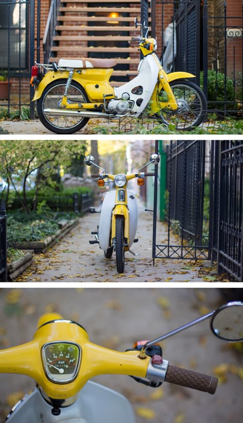 Honda C70 C70 Classic, C90 Honda, Honda C50, Honda C90, Sepeda Retro, Moped Bike, Vintage Moped, Vintage Honda Motorcycles, Honda C70