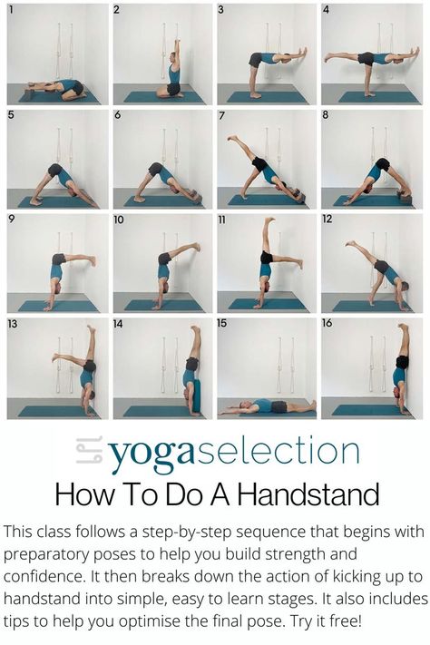 Yoga Course Online, Forward Bend, Dog Poses, Advanced Yoga, Iyengar Yoga, Build Strength, Standing Poses, Restorative Yoga, Strength Training Workouts