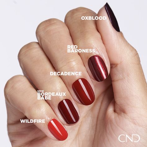 We've got enough reds to own the category, wouldn't you agree? 😉 Introducing our new shade: Bordeaux Babe, a rich crimson red that lives between Decadence and Oxblood. Cnd Shellac Colors, Kiara Sky Gel Polish, Shellac Colors, Cnd Nails, Cat Eye Gel Polish, Zoya Nail, Glitter Gel Polish, Gel Couture, Zoya Nail Polish