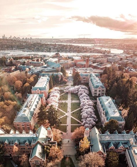 College University Campus, Seattle University Campus, University Of Washington Seattle Campus, University Of Washington Campus, Washington State University Aesthetic, Aesthetic College Campus, University Of Washington Seattle Aesthetic, University Architecture College Campus, Washington University Aesthetic