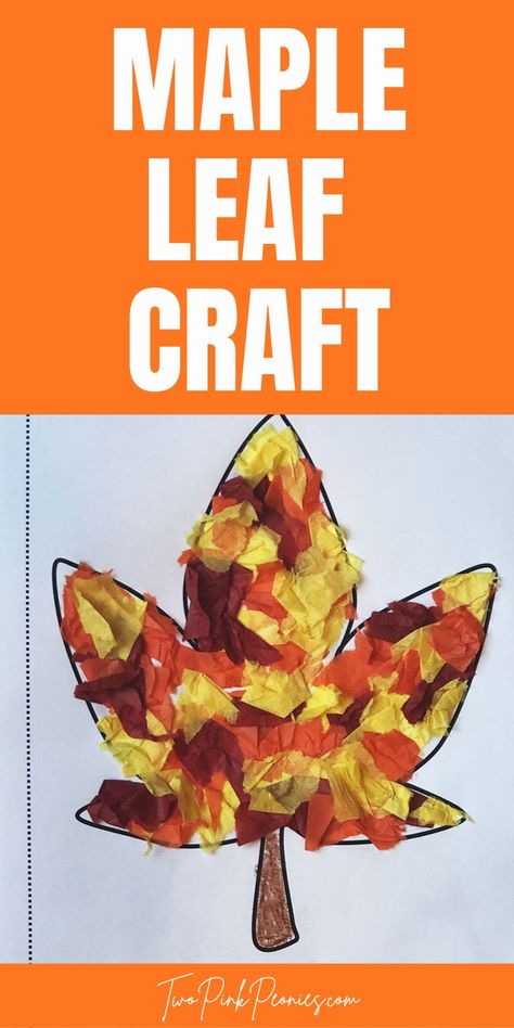 Text that says maple leaf craft below the text is an image of the template with torn orange, yellow, and red tissue paper on it. Color Changing Leaf Craft, Leaves Craft For Preschoolers, Preschool Tissue Paper Crafts, Leaves Art For Preschool, Kindergarten Fall Crafts Art Projects, Leaf Tissue Paper Craft, Fall Leaf Activity Preschool, Leaf Craft For Kindergarten, Leaf Collage Preschool