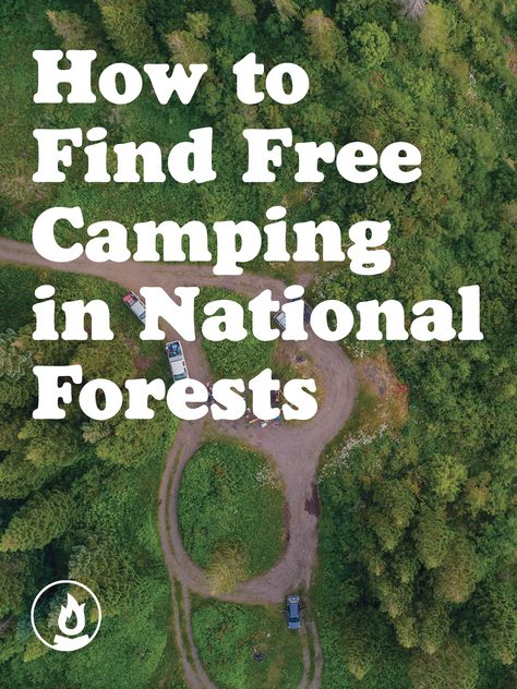 Washington Camping, Camping Life Hacks, Hiawatha National Forest, Adventure Places, Primitive Camping, Ideas For Camping, Dispersed Camping, Forest Camping, Stealth Camping