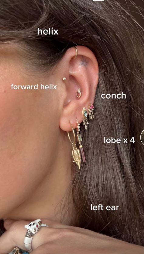 Foreword Helix Piercing, Conch Forward Helix Piercing, Mismatched Ear Piercings, Conch Piercing Jewelry Hoop, Ear Piercing Flat Ideas, Conch Jewelry Studs, Forward Helix And Conch Piercing, Conch And Forward Helix Piercing, Stacked Lobe Piercing Ideas