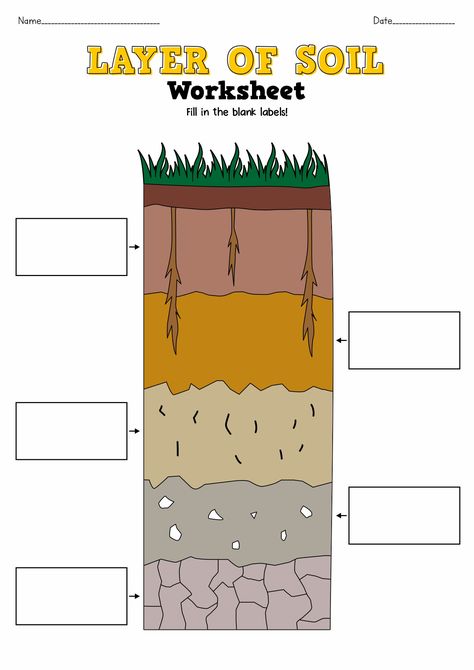 Soil Layers Worksheets for 3rd Grade Soil Layers Worksheet, Third Grade Science Worksheets, دورة حياة النبات, Layers Of Soil, Worksheets For 3rd Grade, Soil Activities, Sentence Scramble, Earth Layers, Science Equipment