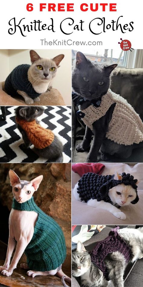 Cat Sweater Knitting Pattern, Cat Sweater Pattern, Knitting Patterns For Dogs, Knitting Patterns Free Dog, Kitten Sweater, Chat Sphynx, Pet Sweaters, Dog Sweater Pattern, Knitting Patterns Free Sweater