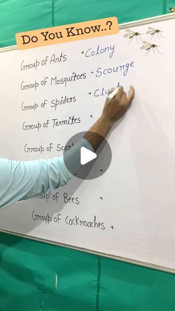 Gk Knowledge In English, Ant Colony, Gk Knowledge, English Vocab, Exam Preparation, Instagram Reels, January 1, General Knowledge, Viral Videos