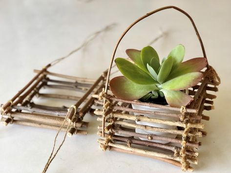 Donna Erickson: Make a twig basket for spring plants Twig Bird House, Things To Make With Sticks, Twig Basket, Twig Crafts, Twine Crafts, Twig Tree, Making Baskets, Branch Art, Natural Baskets