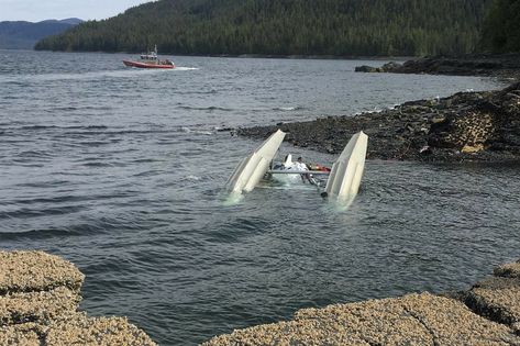 Bodies of 2 missing after Alaska float plane collision found; 6 dead in crash RIP Randy Sullivan, Mountain Air Service Coast Guard Helicopter, Float Plane, Private Pilot, Princess Cruises, Coast Guard, Cruise Ship, Alaska, New World, Float