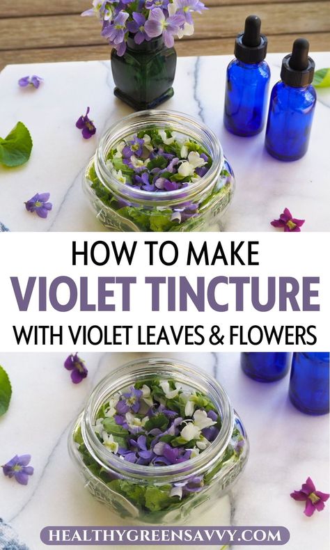 Make some useful homemade medicine with those abundant wild violets! Both the leaves and the flowers contain medicinal compounds that you can preserve with this simple tincture recipe. Find out what you need to know about making your own  wild violet tincture. | herbal medicine | herbalism | medicinal plants | wild violet tincture recipe | Stinging Nettle Tincture Benefits, Tinture Recipes, Cilantro Tincture, Violet Tincture, Tincture Recipes, Apothecary Recipes, Herbal Crafts, Nettle Tincture, Spring Foraging