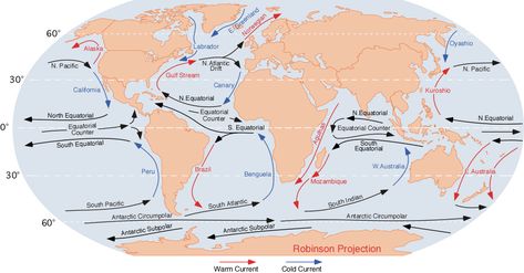 Major ocean currents of the world. On this illustration red arrows indicate warm currents, while cold currents are displayed in blue. Ocean Currents Map, Ocean Currents, Ocean Current, Learn Faster, Oceanography, Oceans Of The World, Meteorology, Marine Biology, Benjamin Franklin