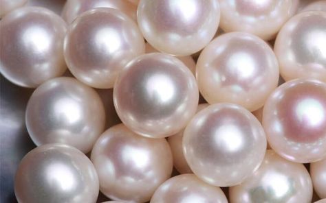 Pearl Astethic, Diy Beaded Jewelry Ideas, Beaded Jewelry Ideas, Diy Beaded Jewelry, Real Pearl Jewellery, Conch Pearl, White Pearl Jewelry, Jewelry Knowledge, Buy Pearls