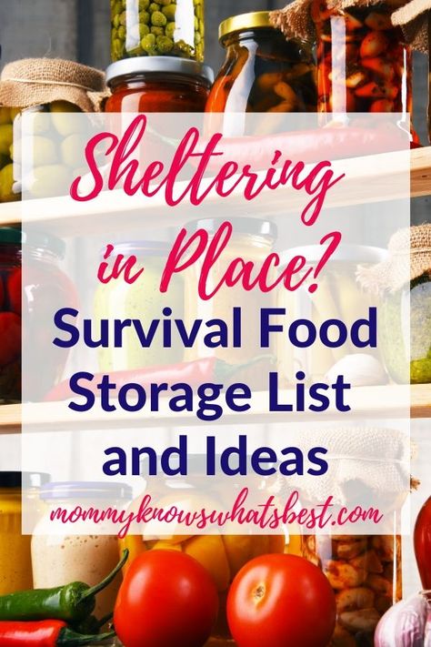 Not sure what pantry essentials to store in case of emergency? Get this survival food storage list to keep your pantry stocked and ready for any emergency. | emergency preparedness | pantry essentials checklist Food Essentials List, Food Storage List, Emergency Preparedness Checklist, Food Essentials, Emergency Preparedness Food Storage, Survival Food Storage, Preppers Pantry, Canned Meats, Emergency Preparedness Food