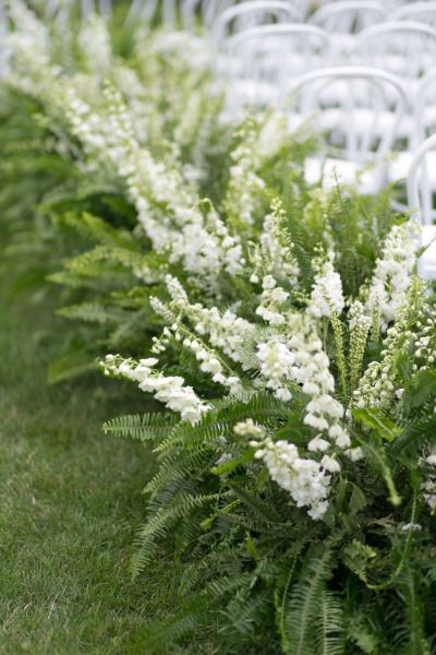 Ferns Wedding, Wedding Aisles, Wedding Ceremony Chairs, Fern Wedding, Wedding Ceremony Ideas, Ceremony Chairs, Aisle Flowers, Theme Nature, Organic Wedding