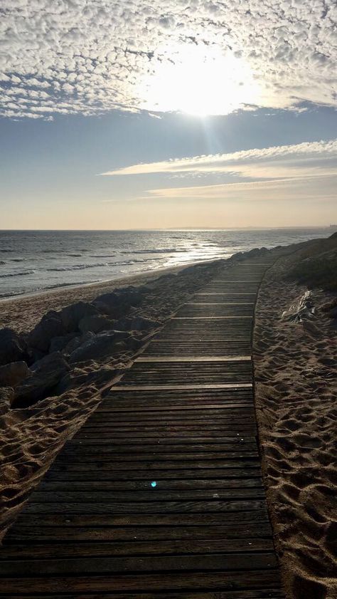 Nature, Board Walk Aesthetic, School Mood, Portugal Photography, Background Study, Board Walk, Nature Aesthetics, Beach Walks, Lake Beach