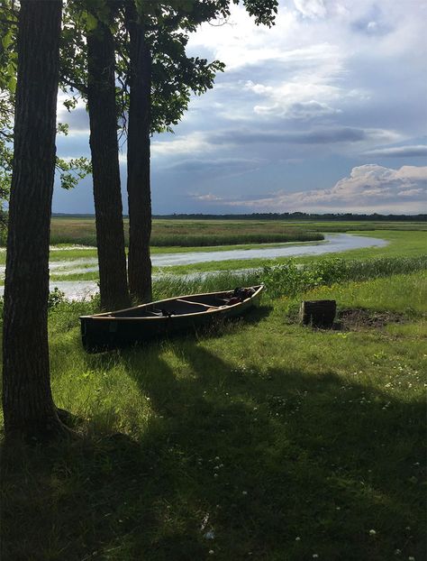 Mississippi River Mississippi River Aesthetic, Mississippi Nature, Mississippi Aesthetic, Mississippi Landscape, Mississippi Photography, America Core, Lilac Trees, Southern America, Beautiful America