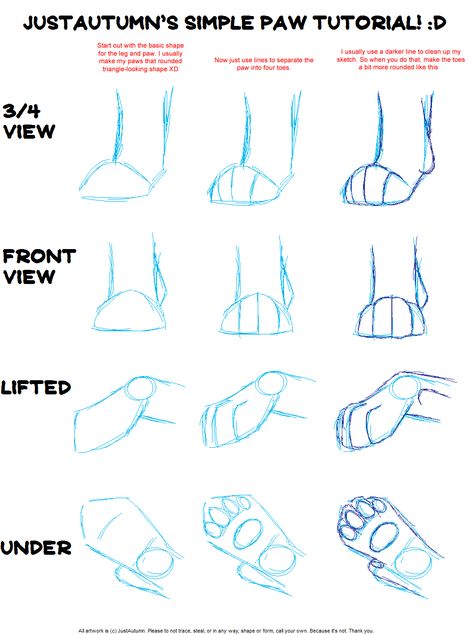 Lion paw - patte de lion - Löwenpfote Animal Feet Drawing, Cat Feet Drawing, Paw Reference, Paw Tutorial, Paw Drawing, Feet Drawing, Cat Patterns, Cat Drawing Tutorial, Warrior Cat Drawings