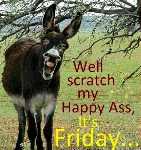 Happy Friday Humour, Positiva Ord, Friday Meme, Funny Day Quotes, Funny Friday Memes, Good Morning Funny Pictures, Happy Friday Quotes, Friday Quotes Funny, Funny Cartoons Jokes