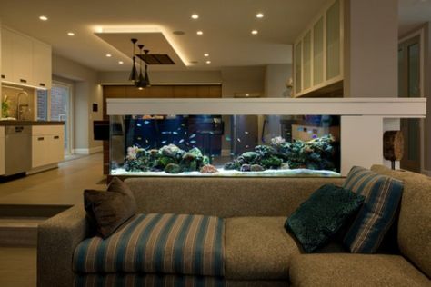 16 Truly Amazing Interiors With Fascinating Aquarium Aquarium Wall, Wall Dividers, Custom Aquarium, Wall Aquarium, Amazing Aquariums, Fish Tank Design, Aquarium Terrarium, Home Aquarium, Aquarium Design