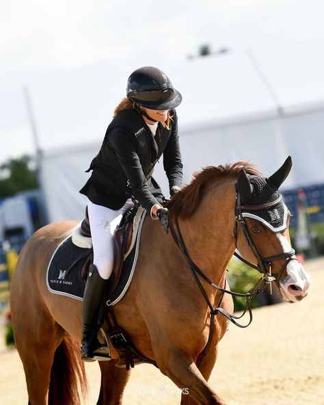 Horse Show Aesthetic, Dressage Horses Photography, Equestrian Show Jumping, Hunter Jumper Horses, Horsey Life, Equestrian Outfit, Horse Competition, Show Jumping Horses, Equestrian Aesthetic