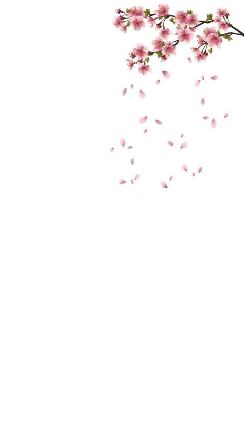 Backyard Camping, Kids Background, 패턴 배경화면, Flower Background Wallpaper, Wallpaper For Your Phone, Flower Phone Wallpaper, Minimalist Wallpaper, Tumblr Wallpaper, Iphone Background Wallpaper