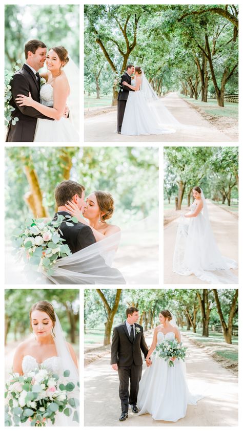 Light Bright Wedding Photography, Pecan Orchard Wedding, Wedding Photos Bright And Airy, Light Airy Photography, Wedding Photography Bright And Airy, Bright Airy Wedding Photography, Wedding Photography Styles Lighting, Light And Bright Wedding Photos, Natural Light Wedding Photography