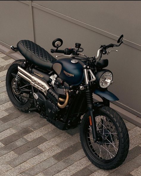 Triumph Scrambler Wallpaper, Old Motorcycles Vintage, Triumph Bike, Classic Triumph Motorcycles, Cb 750 Cafe Racer, Adventure Bike Motorcycles, Triumph Moto, Sepeda Retro, Custom Bikes Cafe Racers