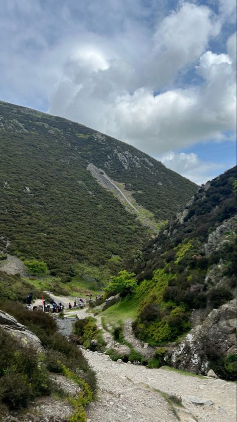 Carding Mill Valley UK #tree #mountains #hills #aesthetic #field Carding Mill Valley, Hills Aesthetic, Aesthetic Field, Mill Valley, Green Mountain, Green, Travel